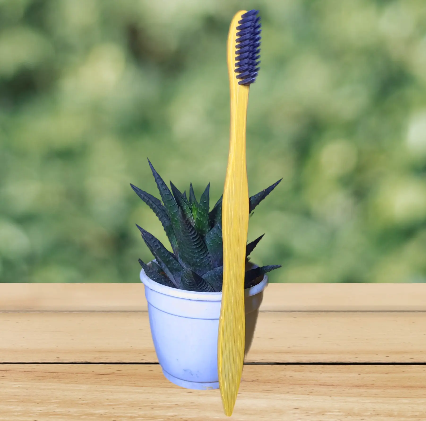 Bamboo Toothbrush